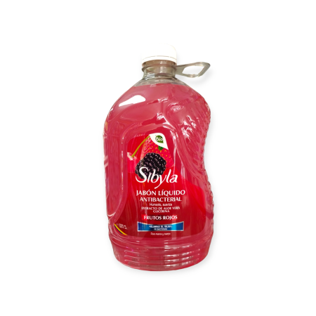 jabon-liquido-antibacterial-x-3785-ml-sibyla-fuller-pinto (1)