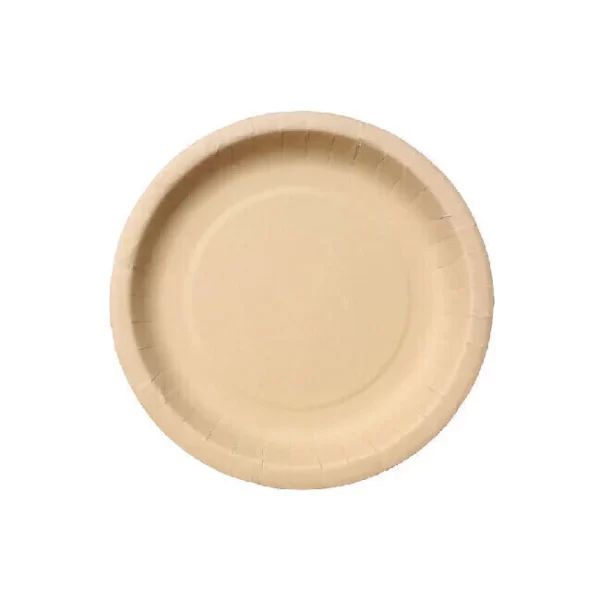 plato15